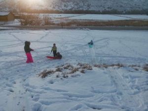 kids sledding