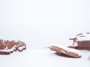 when life doesn’t go according to plan when life doesn’t go according to plan