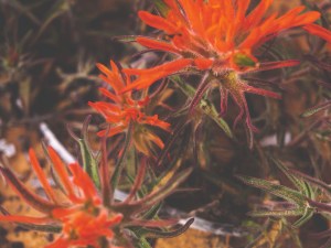 Doing things and getting things done Doing things and getting things done