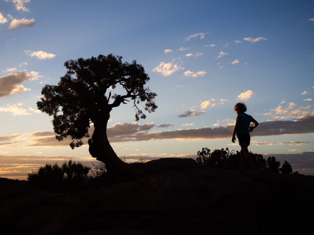 girl walking during sunset by tree