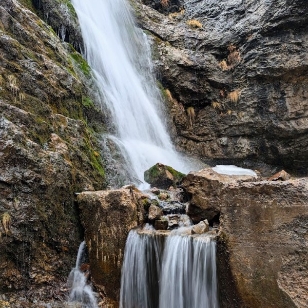 Photos of a warm winter